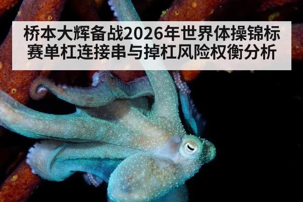 桥本大辉备战2026年世界体操锦标赛单杠连接串与掉杠风险权衡分析(jiuyou game)